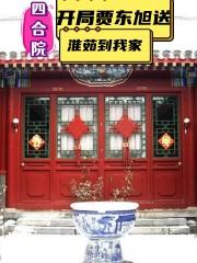 四合院:开局怒怼贾家恶婆婆